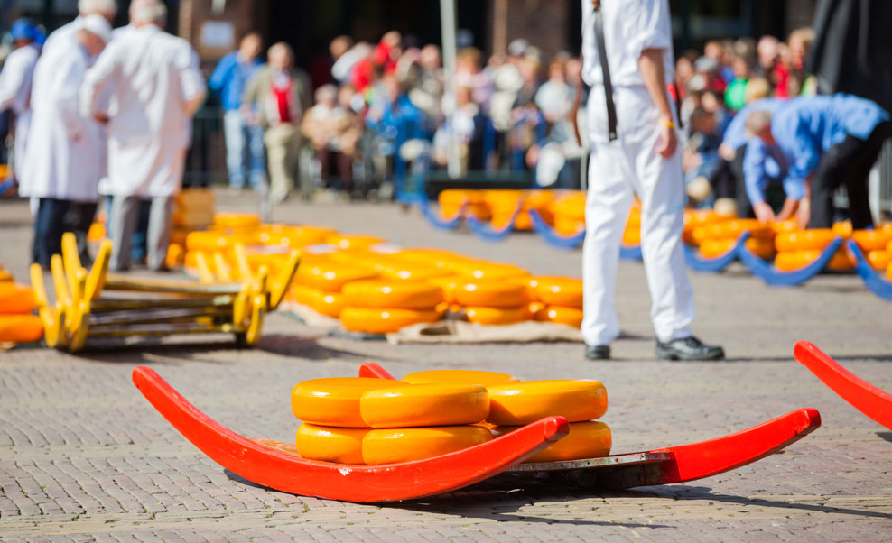 Stedentripje naar de kaasmarkt in Alkmaar